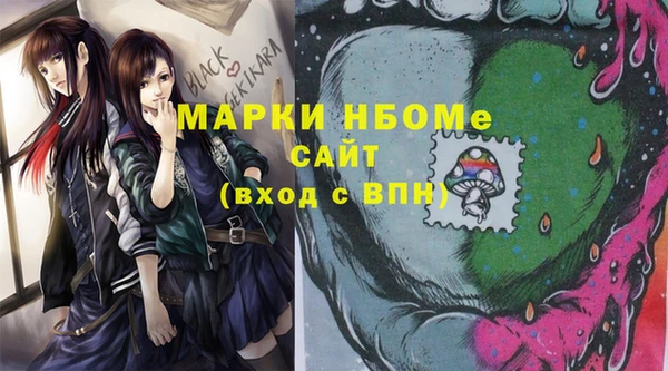 гидра Вяземский