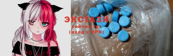 гидра Вяземский