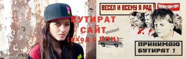 гидра Вяземский