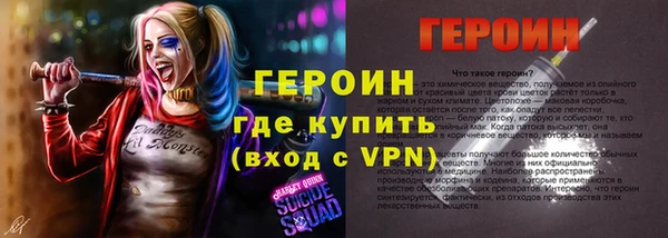 гидра Вяземский