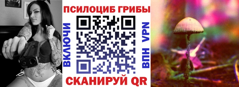 Псилоцибиновые грибы MAGIC MUSHROOMS Дорогобуж